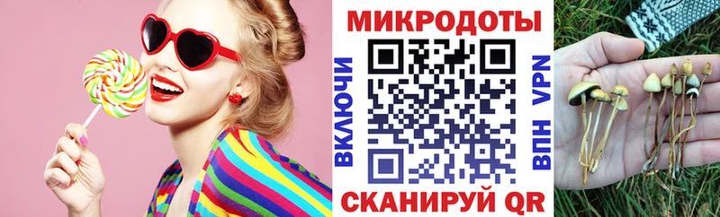 Псилоцибиновые грибы Cubensis  гидра рабочий сайт  darknet клад  купить наркоту  Суджа 